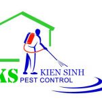 diệt mối tận gốc kiến sinh